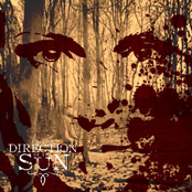 In the Direction of the Sun