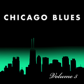 Chicago Blues, Vol. 5