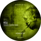 Paranoia (Zardonic Remix) / Subliminal