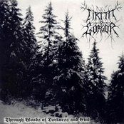 Through Woods Of Darkness And Evil