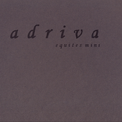Equites Mini
