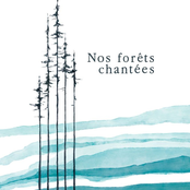Nos forêts chantées