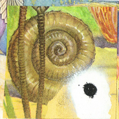 Particle Magazine / Hollow Man