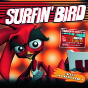 Surfin' Bird