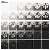 Sleep Tight, Socialite