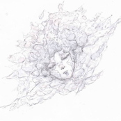 WILL / straysheep - Single