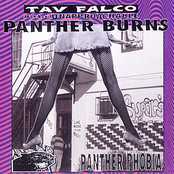 Tav Falco's Panther Burns: Panther Phobia