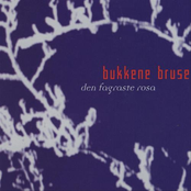 Romjulsgangar by Bukkene Bruse