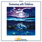 Swimming With Dolphins