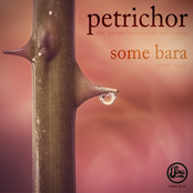Petrichor: Some Bara