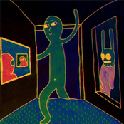 we have the window open at night