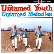 Little Miss Go Go by The Untamed Youth