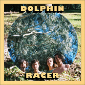Dolphin Racer