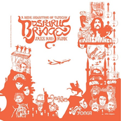 Bosporus Bridges: A Wide Selection of Turkish Jazz and Funk 1969-1978