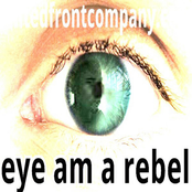 Rebellion Theory
