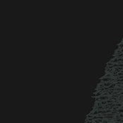 beginning to understand