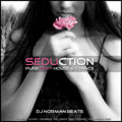 Pure Sexy House & Trance