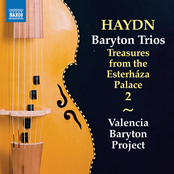 Valencia Baryton Project: Haydn: Baryton Trios, Vol. 2