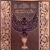 TheCatlinElm/Coma Regalia split 7"