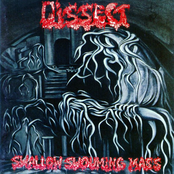 Swallow Swouming Mass by Dissect