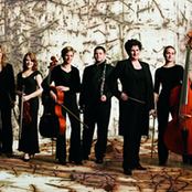 the new professionals orchestra