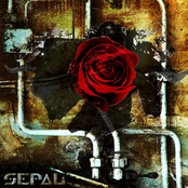 Sepal (EP)