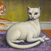 Scoroo Review If I Leave