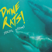 Social Atoms by Dune Rats