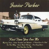 Feelin' Good by Junior Parker