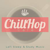 Lofi Sleep & Study Music