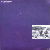 You Get the Picture?