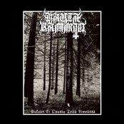 Kukaan Ei Opasta Teita Pimeassa