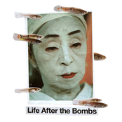 Life After The Bombs