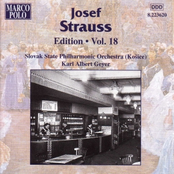 STRAUSS, Josef: Edition - Vol. 18
