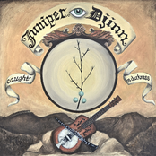 Juniper Djinn: Caught in Darkness