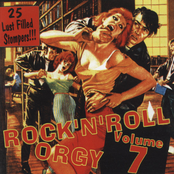 Rock & Roll Orgy Vol 7
