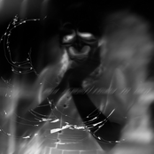 Her New Knife: lead dreams/flayed so light