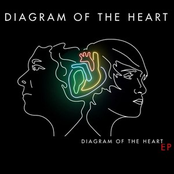 Diagram Of The Heart