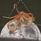 Fuga Pánica de las Bestias