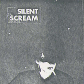 the silent scream