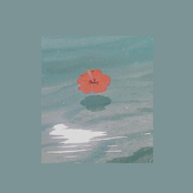 Upbeat August