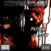 Flash & Flesh