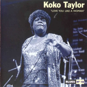 Nitty Gritty by Koko Taylor