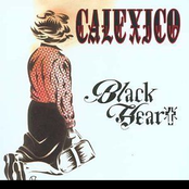 Quattro (gotan Project Remix) by Calexico