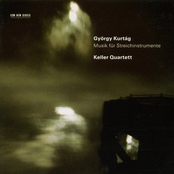 Musik Für Streichinstrumente