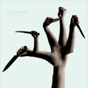 Pseudo Groove by Octopus