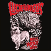 99% Wolf - Japan tour promo