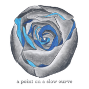 A Point on a Slow Curve