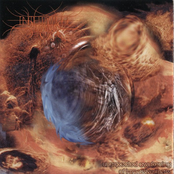 Unexpected Awakening Of Impassive Mass / Fraility Of The Human Condition