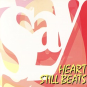 Heart Still Beats